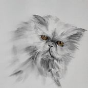 My project for course: Animal Illustration with Charcoal and Ink. Drawing, Ink Illustration, and Naturalistic Illustration project by Maia Martin - 01.05.2023