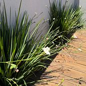 Meu projeto do curso: Criação e edição de conteúdo para Instagram Stories. Social Media, Mobile Photograph, Digital Marketing, Digital Photograph, Mobile Marketing, Instagram, Content Marketing, Instagram Photograph, Instagram Marketing, Lifest, and le Photograph project by Kechylinn Santos - 01.04.2023