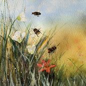 My project for course: Illustrating the Natural World with Watercolor and Charcoal. Ilustração tradicional, Pintura e Ilustração naturalista projeto de amelia_hight - 05.01.2023