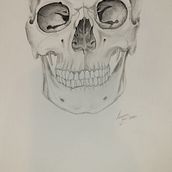 Anatomy illustration in graphite . % Lauren Yorke Worthington tarafından hazırlanan Geleneksel illüstras, Ve on projesi - 01.06.2023