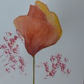 My project for course: Illustrating the Natural World with Watercolor and Charcoal. Traditional illustration, Painting, and Naturalistic Illustration project by Phyllis Johnston - 01.06.2023