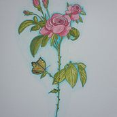 Just a simple rose. Traditional illustration, Sketching, Drawing, Botanical Illustration, and Sketchbook project by tiziana_narducci - 01.07.2023
