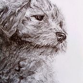 My project for course: Animal Illustration with Charcoal and Ink. Drawing, Ink Illustration, and Naturalistic Illustration project by lionsaidh.smith - 01.08.2023