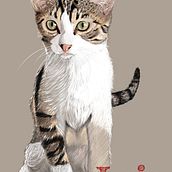 Retratos Animales. Traditional illustration project by Carlos Pancorbo Diaz - 01.08.2023