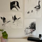 My project for course: Animal Illustration with Charcoal and Ink. Un progetto di Disegno, Illustrazione con inchiostro e Illustrazione naturalistica di Mara Ionescu - 08.01.2023