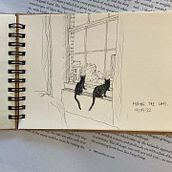 Various cat drawings. Drawing project by Josephine - 01.09.2023