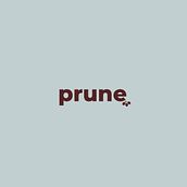 My project for course: Presentation Design: Create a Professional Template - Prune. Design Management, Graphic Design, Information Design, Marketing, Communication, and Presentation Design project by loughransmith55 - 01.06.2023