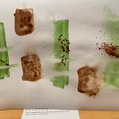 My project for course: Dreamy Watercolor Landscapes: Paint with Light. Painting, and Watercolor Painting project by Lynne Hopkins - 01.09.2023