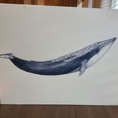 My project for course: Naturalist Illustration Techniques: Whales in Watercolor. Traditional illustration, Poster Design, Digital Illustration, and Manga project by Lydia Nathe - 01.09.2023