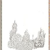 Yuyos . % Xixa Martino tarafından hazırlanan Geleneksel illüstras, on, Resimli kitap, Çocuk Edebi, atı, Doğalcı İllüstras, on, Mürekkep İllüstras, onu, El Yazısı, Botanik İllüstras, on, Çocuk İllüstras, onu, Ve Sanatsal Çizim projesi - 01.09.2023