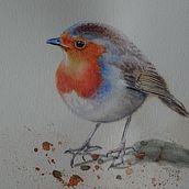 Mon projet du cours : Techniques artistiques d'aquarelle pour illustrer les oiseaux. Ilustração tradicional, Pintura em aquarela, Desenho realista e Ilustração naturalista projeto de Patricia PICCO - 08.03.2023