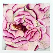 Meu projeto do curso: Ilustração botânica com aquarela. Un proyecto de Ilustración tradicional, Bellas Artes, Pintura, Dibujo, Pintura a la acuarela e Ilustración botánica de Rute Bailao - 09.01.2023