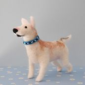 Mi proyecto del curso: Creación de animales con needle felting Ein Projekt aus dem Bereich H, werk, Spielzeugdesign, Weben, Nadelfilzen und Textildesign von Paola Carrera Ramírez - 10.01.2023