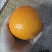 Meu projeto do curso: Tatuagem para principiantes. Un projet de Conception de tatouage de Nayara Almeida Coelho - 09.01.2023