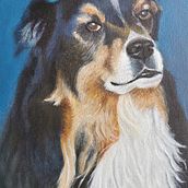 Hundeportraits Acryl. Fine Arts project by tajabe - 01.11.2023