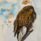 Watercolor Eagle. Un progetto di Pittura di marycarter2 - 11.01.2023