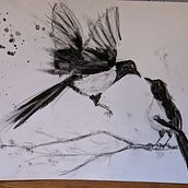 My project for course: Animal Illustration with Charcoal and Ink. Drawing, Ink Illustration, and Naturalistic Illustration project by Sarah Cogan - 01.11.2023