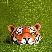 Mi proyecto del curso: Ilustración de fauna salvaje para libros infantiles. Un progetto di Illustrazione vettoriale, Illustrazione digitale e Illustrazione infantile di Camila Saldarriaga Rodriguez - 12.01.2023