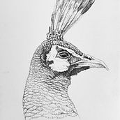 Inkwork. Drawing & Ink Illustration project by Anna Ross - 01.12.2023