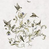 thistle. Un proyecto de Ilustración tradicional de Ekaterina Sokolova - 13.01.2023