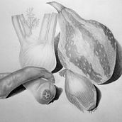 Botanical studies in graphite. Pencil Drawing, Realistic Drawing, and Botanical Illustration project by ELENA DE AMICI - 01.25.2023