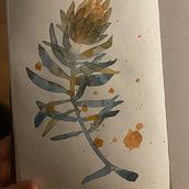 Protea. Un progetto di Illustrazione tradizionale di Maija - 13.01.2023