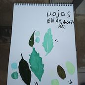 Mi proyecto del curso: Ilustración botánica con acuarela. Un progetto di Illustrazione tradizionale, Belle arti, Pittura, Disegno, Pittura ad acquerello e Illustrazione botanica di chris seoane - 14.01.2023