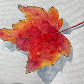 Fall leaf. Painting project by sara_dingel - 01.14.2023