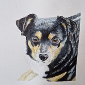 My furry friend. Traditional illustration, Watercolor Painting, Realistic Drawing, and Naturalistic Illustration project by drwal88 - 01.14.2023