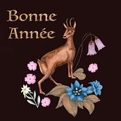 Project : Digital Naturalist Illustration. Traditional illustration, Graphic Design, and Naturalistic Illustration project by Véronique Gaudiot - 01.14.2023