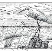 My project for course: Dip Pen and Ink Illustration: Capturing The Natural World. Sketching, Drawing, Artistic Drawing, Sketchbook, Ink Illustration, and Naturalistic Illustration project by cvilleneuve686 - 01.14.2023