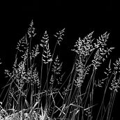 Infrared, my road to recovery. Fotografia projeto de Anna Walsh - 14.01.2023