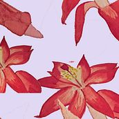 My project for course: Botanical Sketchbooking: A Meditative Approach. Un progetto di Illustrazione tradizionale, Bozzetti, Disegno, Pittura ad acquerello, Illustrazione botanica e Sketchbook di Birgit Pruess - 15.01.2023