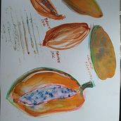 Mój projekt z kursu: Malowanie przyrody: twórcze poszukiwania. Traditional illustration, Painting, Drawing, Watercolor Painting, Ink Illustration, and Naturalistic Illustration project by Joanna WYSOCKA - 01.15.2023
