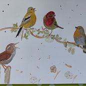 Mein Abschlussprojekt für den Kurs: Illustriere Vögel mit expressiven Aquarelltechniken. Un proyecto de Ilustración tradicional, Pintura a la acuarela, Dibujo realista e Ilustración naturalista				 de morena_koebke - 16.01.2023