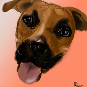 dog portraits . % Nora Rudnick tarafından hazırlanan Geleneksel illüstras, Ve on projesi - 12.14.2022