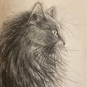 My project for course: Animal Illustration with Charcoal and Ink. Drawing, Ink Illustration, and Naturalistic Illustration project by alisonekeith - 01.17.2023