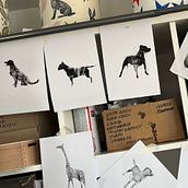 My project for course: Animal Illustration with Charcoal and Ink. Drawing, Ink Illustration, Naturalistic Illustration, and Fine Arts project by Wendi Bowron Weller - 01.14.2023