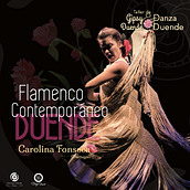 Gira Gipsy Duende México 2017 . Direcția artistică și Producție audiovizuală de Paulina Vega - 01.17.2023