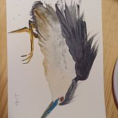 My project for course: Naturalist Watercolor with Expression and Personality. Un projet de Illustration traditionnelle, Aquarelle et Illustration naturaliste de Sara Gomes de Almeida - 19.01.2023