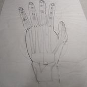 Mi proyecto del curso: Dibujo anatómico para principiantes. Fine Arts, Sketching, Pencil Drawing, Drawing, Realistic Drawing, and Figure Drawing project by jorgechaparro1101 - 01.19.2023