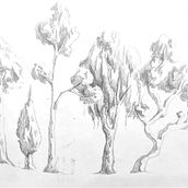 DA- Práctica árboles. Desenho a lápis projeto de Rosa Pulgarín - 19.01.2023