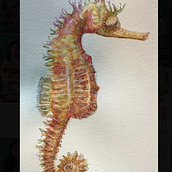 Caballito de mar. Traditional illustration project by Susana SL - 01.19.2023