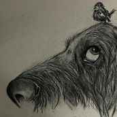 Meu projeto do curso: Ilustração de animais com carvão vegetal e tinta. Fine Arts, Drawing, Ink Illustration, and Naturalistic Illustration project by Cesar Lacerda - 01.19.2023