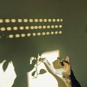Jugando con sombras. Un progetto di Fotografia di Jennifer Rodríguez - 19.01.2023