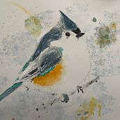 tufted titmouse. Painting project by swilliamsdo - 01.20.2023