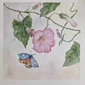 My project for course: Naturalistic Illustration in Watercolor and Gouache Ein Projekt aus dem Bereich Bildende Künste, Aquarellmalerei, Botanische Illustration, Naturalistische Illustration und Gouachemalerei von Ellyn Gaspardi - 20.01.2023