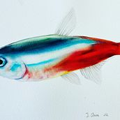 Mi proyecto del curso: Ilustración de universos marinos en acuarela. Un projet de Illustration traditionnelle, Peinture, Aquarelle et Illustration naturaliste de julioangmarbella - 21.01.2023