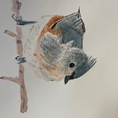 artistic watercolor course. Watercolor Painting project by swilliamsdo - 01.19.2023