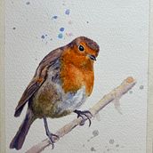 My project for course: Artistic Watercolor Techniques for Illustrating Birds. Traditional illustration, Watercolor Painting, Realistic Drawing, and Naturalistic Illustration project by Marion Clark - 01.21.2023